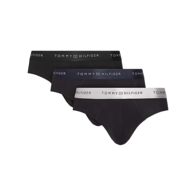 Tommy Hilfiger Ανδρικό Slip Metallic Waistband - Τριπλό Πακέτο, Χρώμα Blk-Des Sky-Silver - S