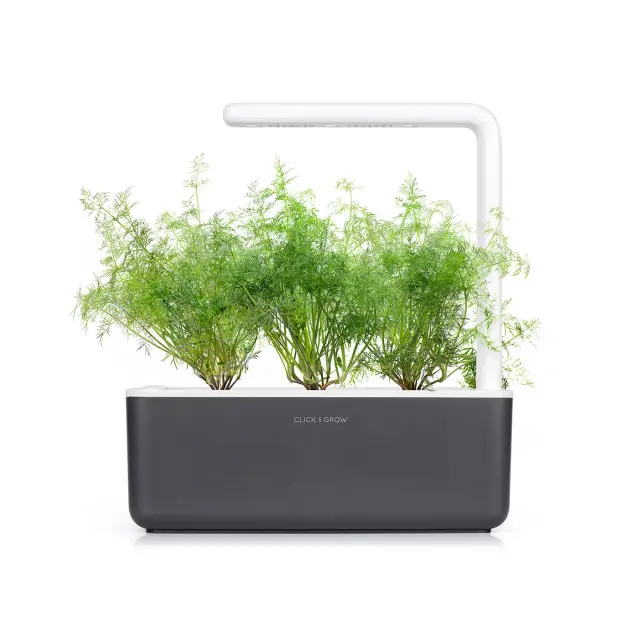 Click and Grow Συσκευασία Σπόρων με Χώμα, για Άνηθο – 3τμχ 2