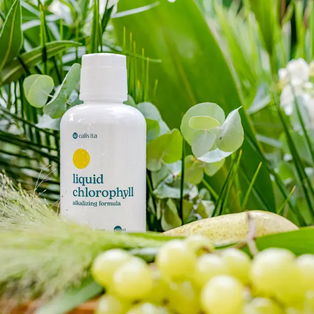 CaliVita Liquid Chlorophyll 3