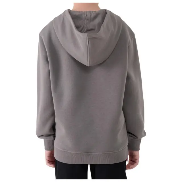 4F Hoodie Junior Grey 4FJWAW25TSWSM1945-22S - 146 2