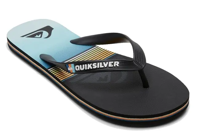 QUIKSILVER MOLOKAI PANEL ΑΝΔΡΙΚΕΣ ΣΑΓΙΟΝΑΡΕΣ BLUE 2