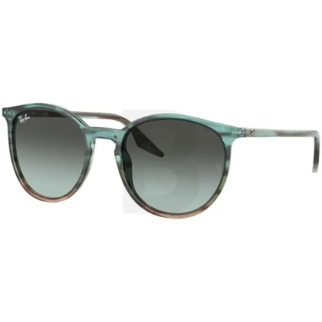 Ray-Ban RB2204 1394GK 51