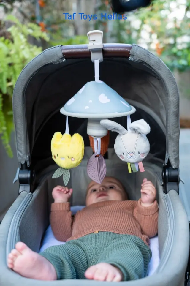 Taf Toys GARDEN PRAM MOBILE 3