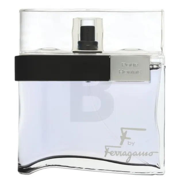 Salvatore Ferragamo F by Ferragamo Pour Homme Black Eau de Toilette for men 100 ml