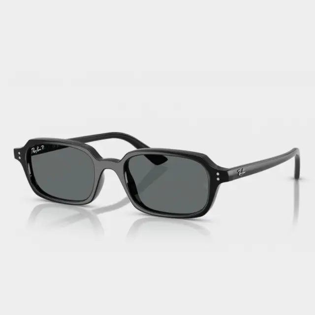 Γυαλιά Ηλίου Ray Ban RB4455 667781 Μαύρο - 52