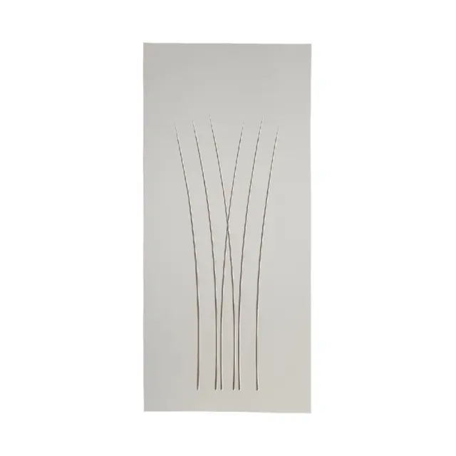 Πόρτα Εσωτερική MDF Ral με πατίνα EX730 από 063x200cm 3