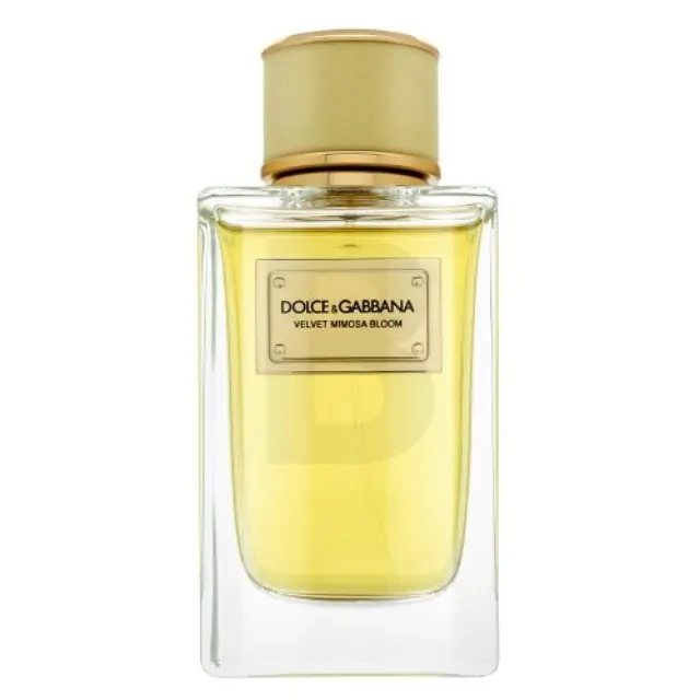 Dolce & Gabbana Velvet Mimosa Bloom Eau de Parfum for women 150 ml