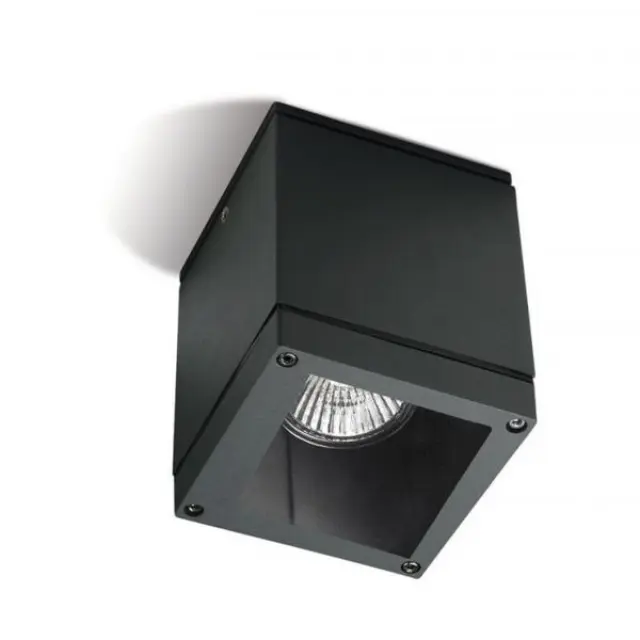 Ceiling fixture IP54 Afrodita 90mm GU10 8W Urban grey