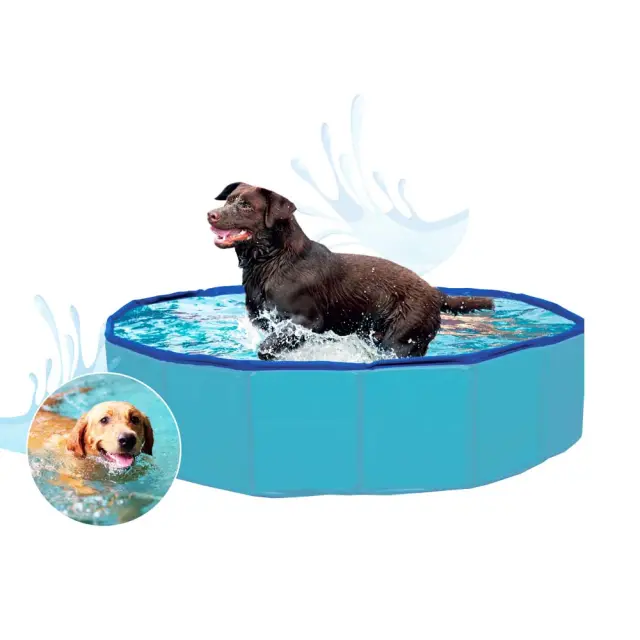 Glee Pet Pool Πισίνα για Σκύλους 160x30cm 2