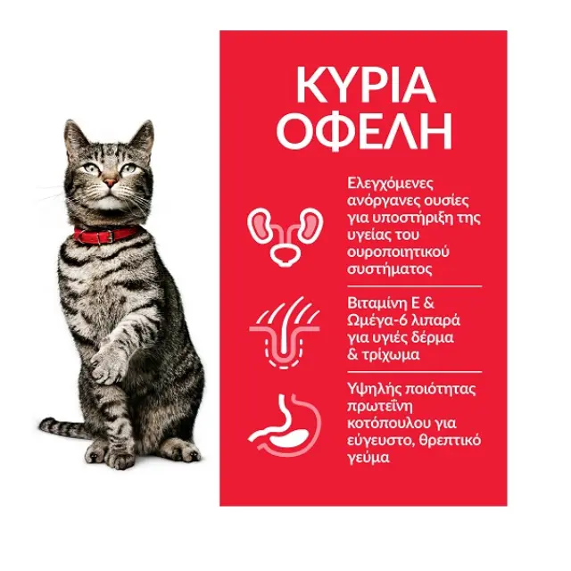 HILL'S SCIENCE PLAN ADULT SENSITIVE STOMACH & SKIN 1,5KG (1kg + 500gr δωρο) 2