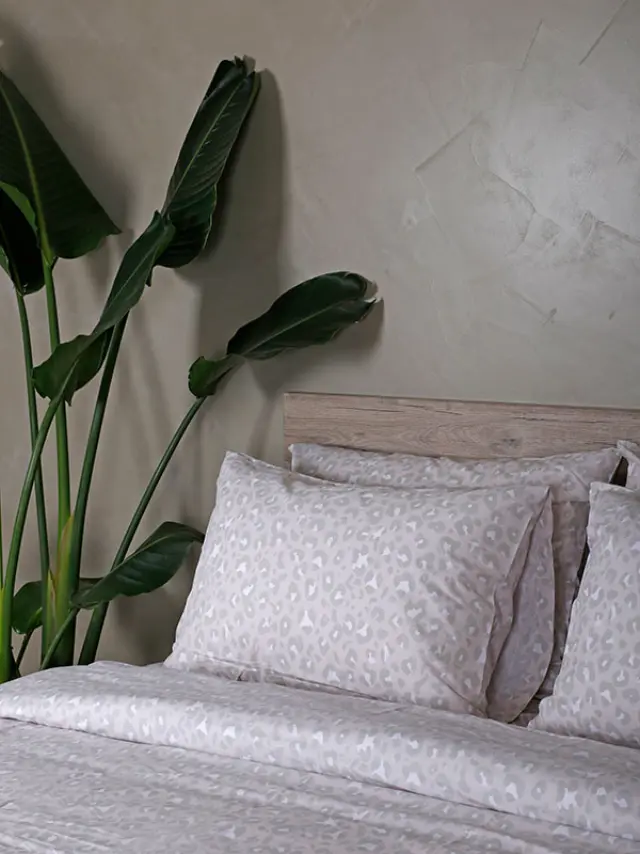 Σετ Σεντόνια Cotton Feelings 2044 Beige Μονό (165x270) Sunshine 2