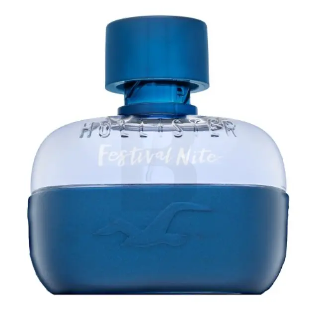 Hollister Festival Nite for Him Eau de Toilette for men 100 ml