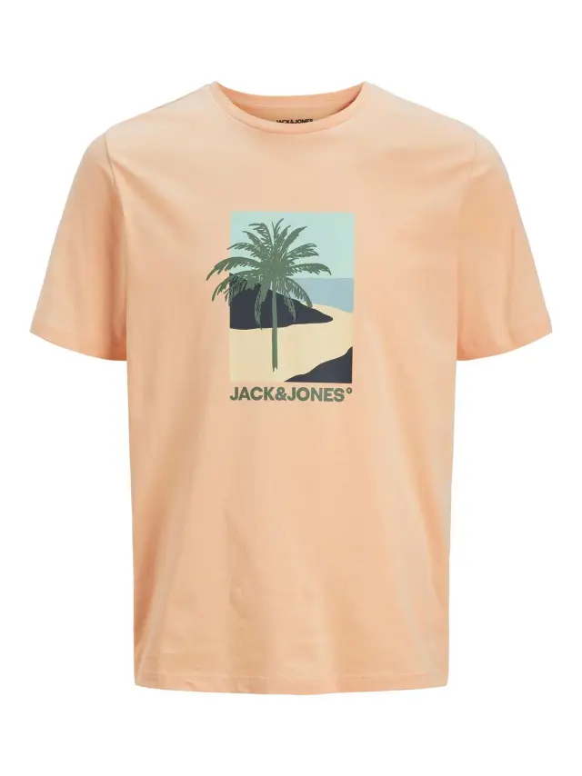 JJBARBADOS TEE SS CREW NECK Peach Parfait