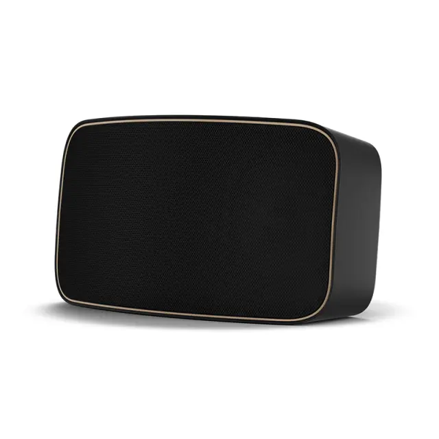Dali Gardian OW 6 Black