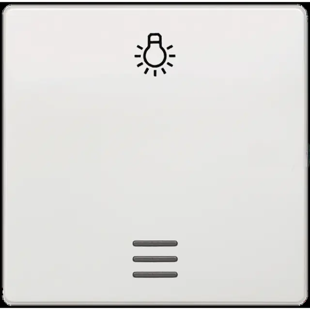 Rocker Switch DELTA i-System Window Titanium White