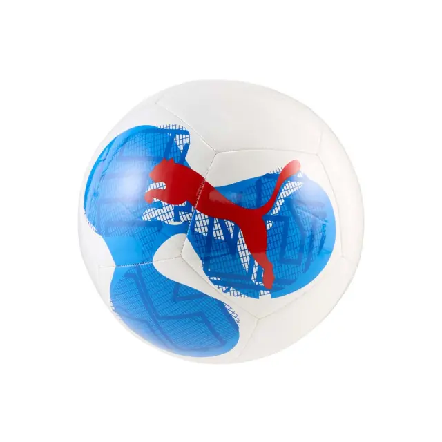 Puma IndividualRise Graphic Size 5 Foot Ball. Άσπρο - Μπλε 084742-01 (Puma) - 5