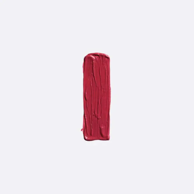 Elixir Forever Lip Mat Κραγιόν 210