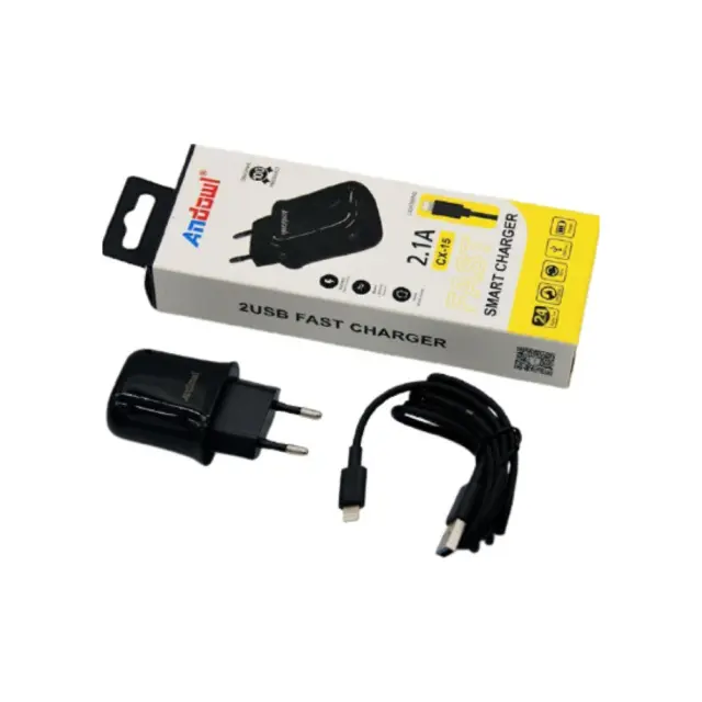 LIGHTING ΦΟΡΤΙΣΤΗΣ 2.1A ANDOWL QY-W0614-IP 2
