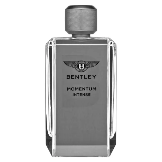 Bentley Momentum Intense Eau de Parfum for men 100 ml