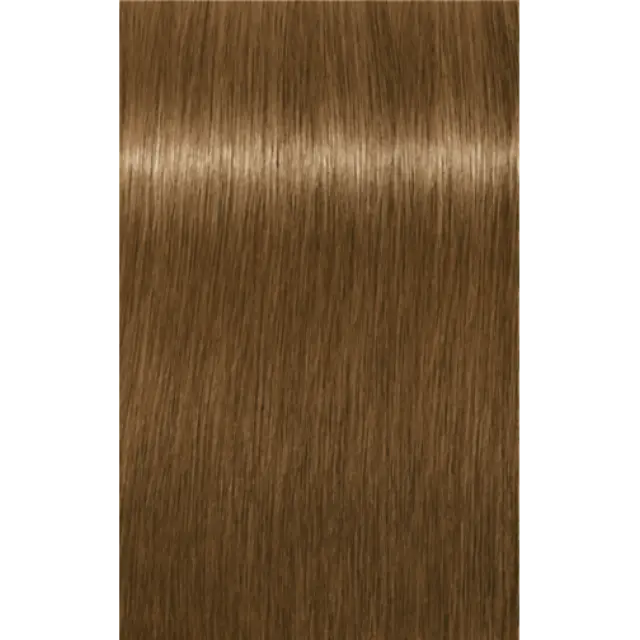Schwarzkopf Professional Igora Royal Absolutes Age Blend 8-140 Ξανθό Ανοιχτό Σαντρέ Μπεζ 60ml