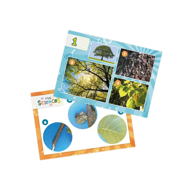 Buki France Mini Sciences Μικροσκόπιο 10x zoom (4+ ετών) 9003 3