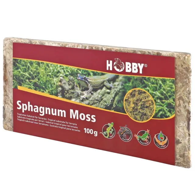 Hobby Spaghnum Moss Υπόστρωμα Terrarium 100gr