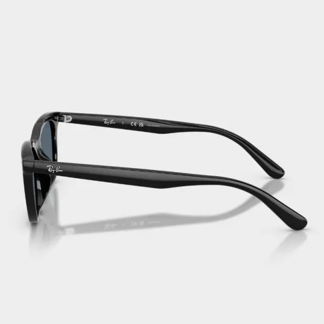 Γυαλιά Ηλίου Ray Ban RB4474D 901/2V Μαύρο - 54 2
