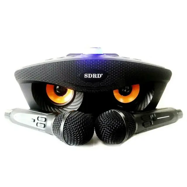 Σύστημα Karaoke με Ασύρματα Μικρόφωνα SD-306 σε Μαύρο Χρώμα 2