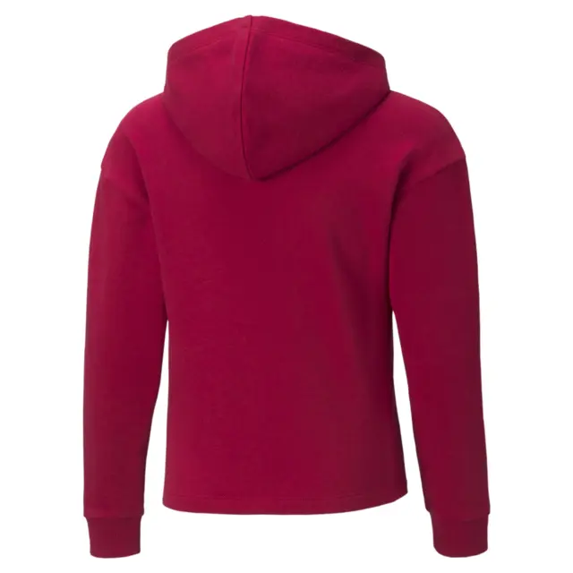 Puma Ess+ Logo Cropped Hoodie Pink 587046-33 - 164 2