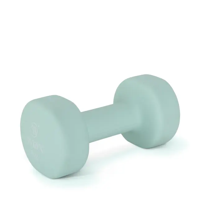 AMILA Neoprene Dumbbell 6Kg (90516)
