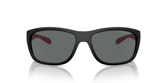 Γυαλιά Ηλίου Arnette FLORESTA AN4337 275381 Μονόχρωμοι Polarized (Arnette) (AN4337 275381) 2