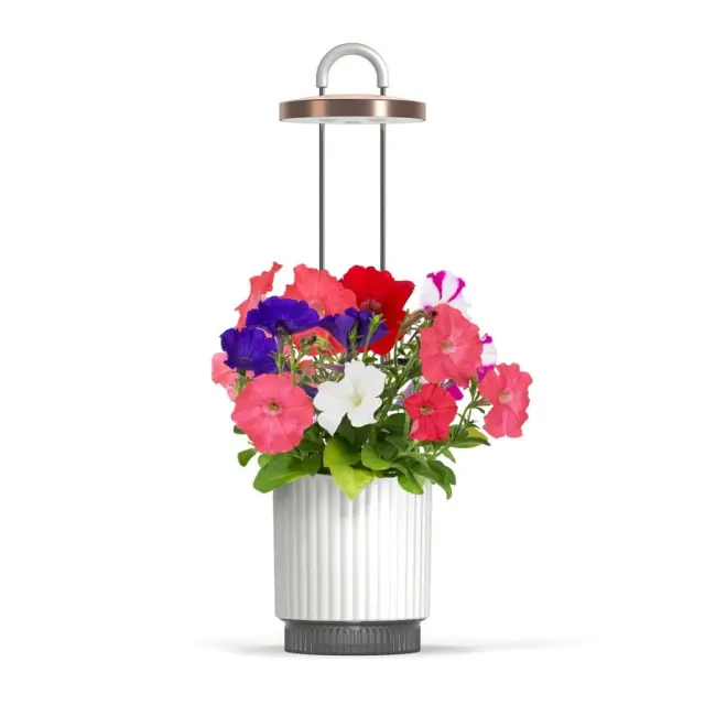 Click and Grow HydroVase - Αυτοποτιζόμενο Γλαστράκι με Φωτισμό White
