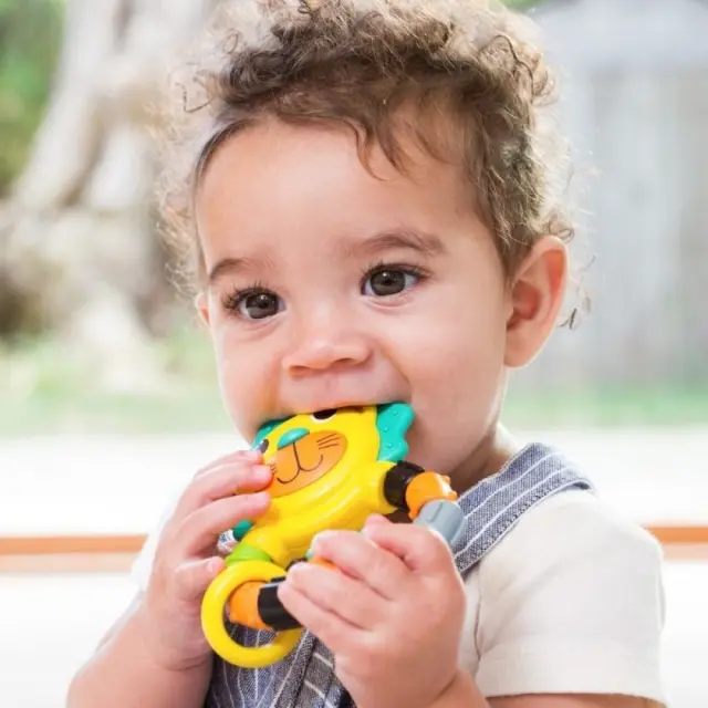 INFANTINO LION TEETHER PETROL 3