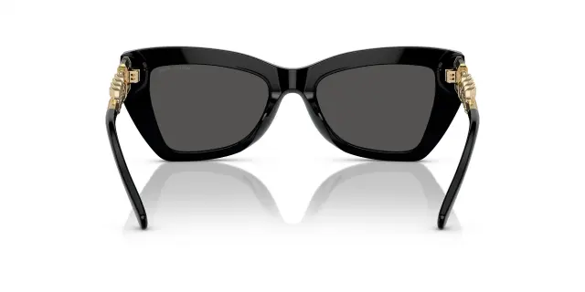 Γυαλιά Ηλίου Michael Kors MONTECITO MK2205 300587 Μονόχρωμοι (Michael Kors) (MK2205 300587) 3