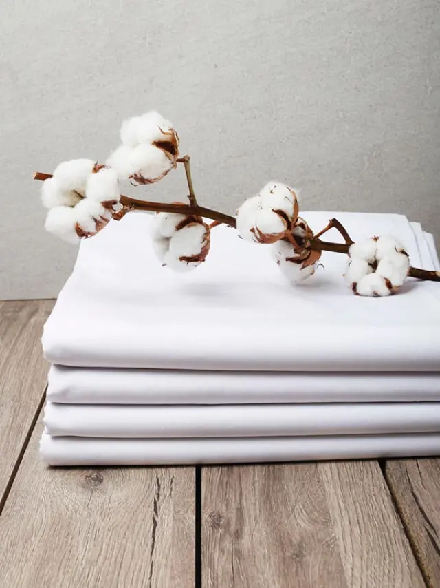 Μαξιλαροθήκη Percale (200tc) 50x70 Sunshine