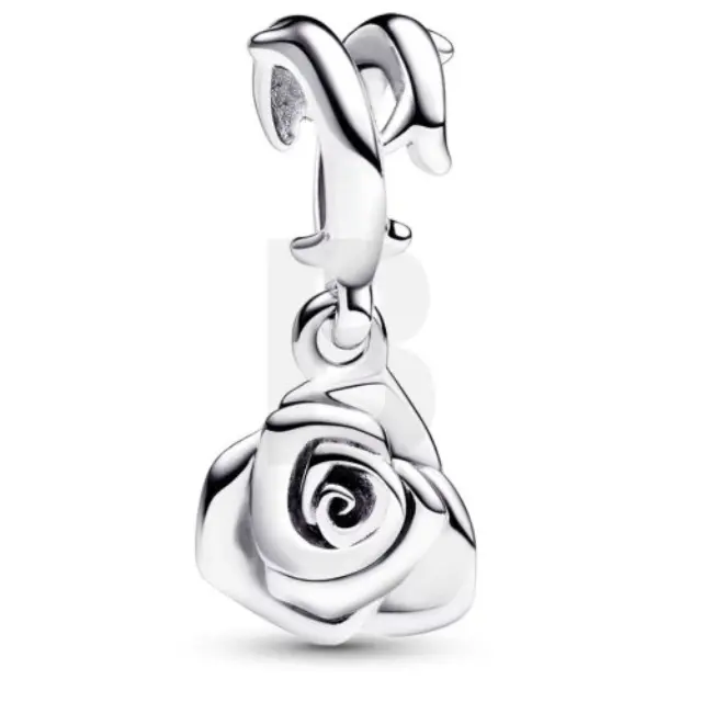 Pandora Moments 793213C00