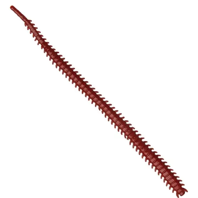 Σιλικονούχο Marukyu Isome L #9594 Red Jp