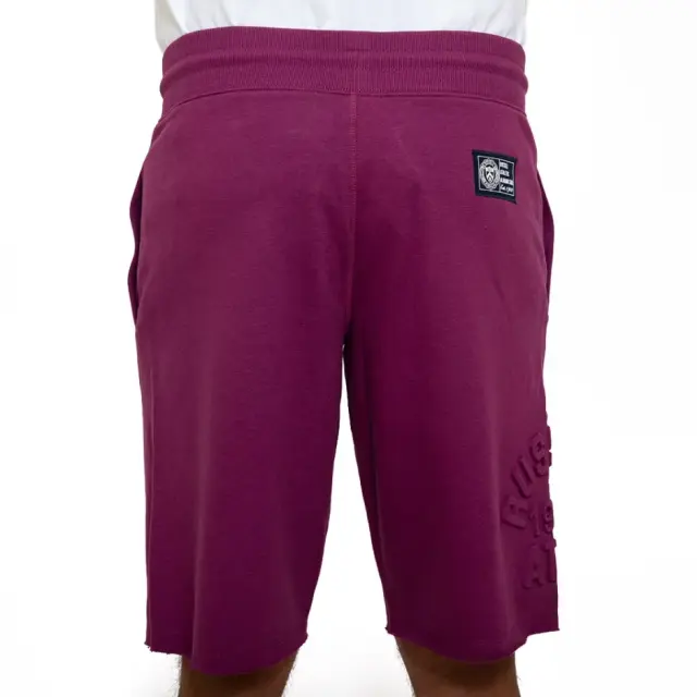 Russell Athletic Gamma Seamless Αθλητική Ανδρική Βερμούδα A3-061-1-673 Μωβ - M 3