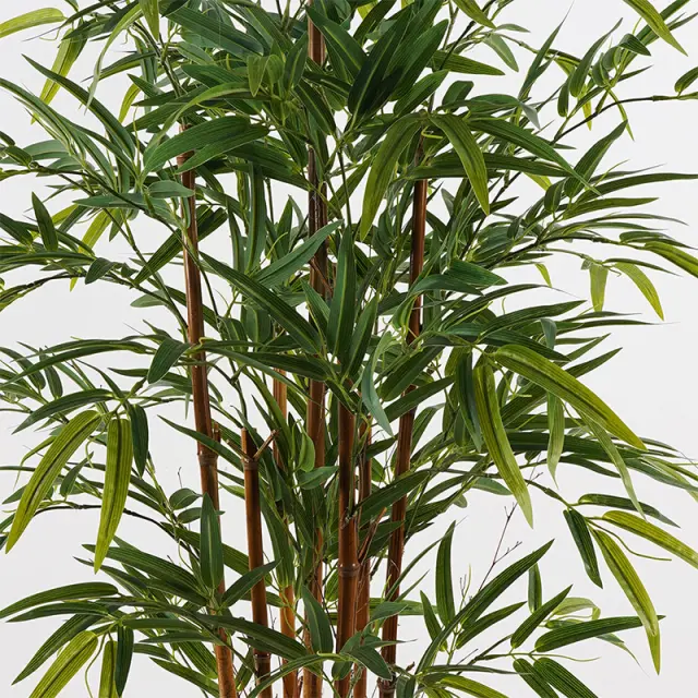 Διακοσμητικό φυτό σε γλάστρα Rhapis Palm Inart πράσινο Φ60x120εκ 2
