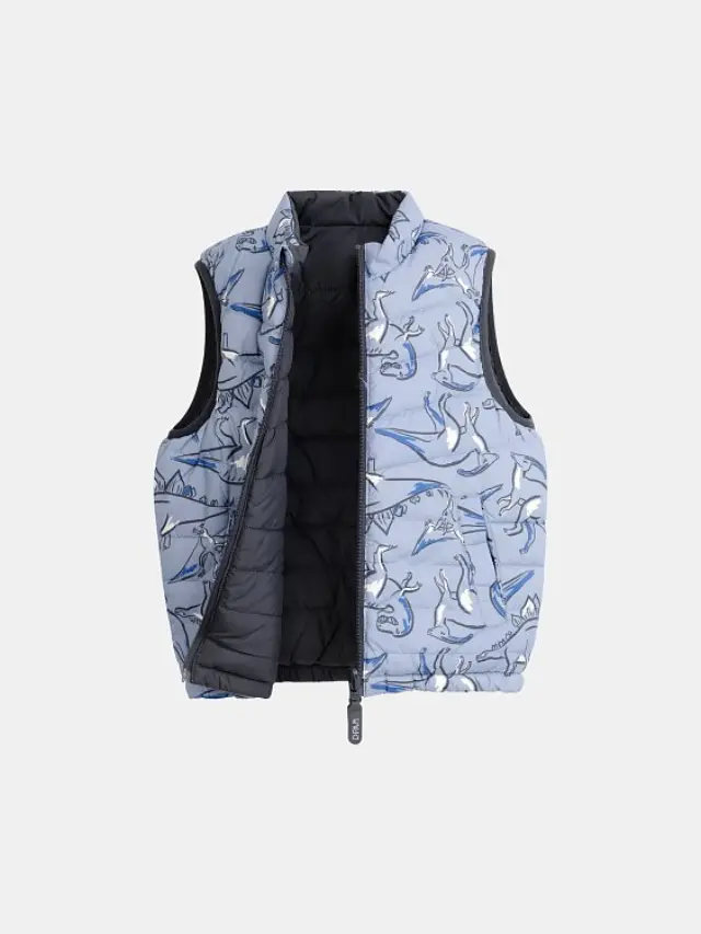 Παιδικό Μπουφάν 2 σε 1 για Αγόρια Dino Reversible ΜΠΛΕ