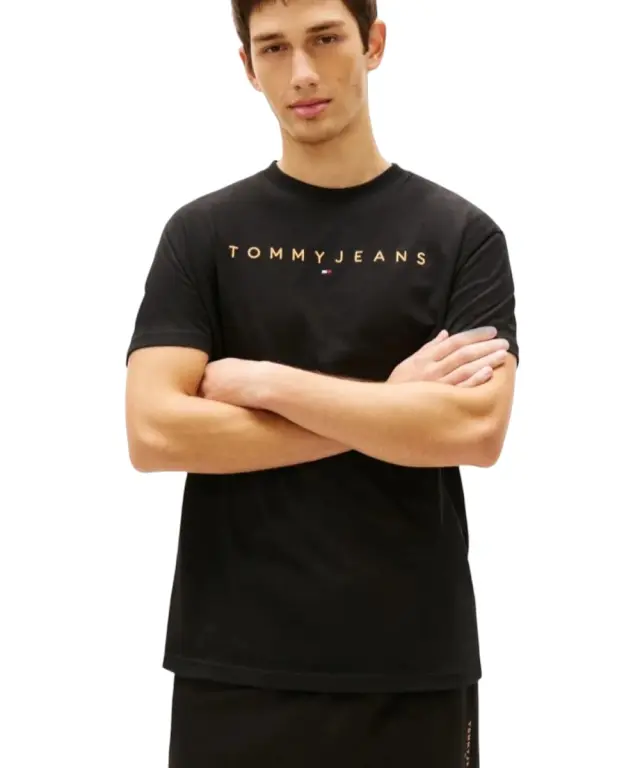 Tommy Hilfiger - Ανδρικό T-shirt Th Linear Logo C-Neck DM0DM20744-SEV Μαύρο - XL