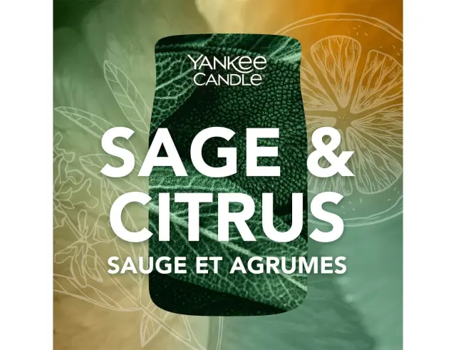 Αρωματικό Κερί Yankee Candle με διάρκεια καύσης έως 80 ώρες και άρωμα Sage & Citrus1629961E 3