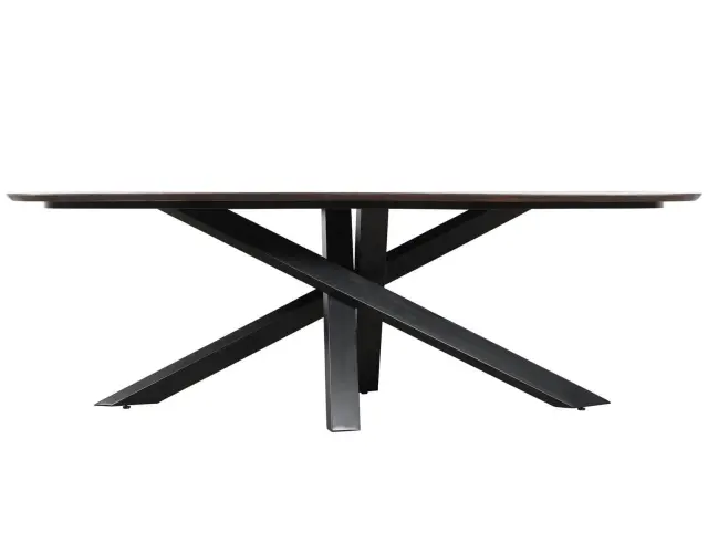 Τραπεζαρία Alore PTMD Luxury Living με διαστάσεις 200x100x77cm - Brown, Black 3