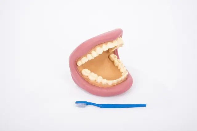 TickiT Γιγαντιαίο Ομοίωμα Στόματος - Giant Teeth Demonstration Model 03083