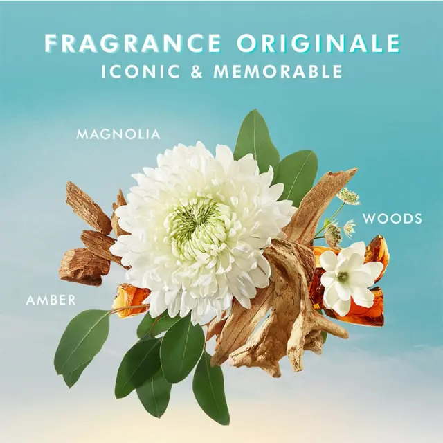 Moroccanoil Body Lotion Fragrance Originale 360ml 2