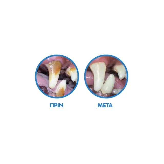 Madpet Plaque Attack Συμπλήρωμα Διατροφής Κατά της Πλάκας & Κακοσμίας για Σκύλους & Γάτες 80gr 2
