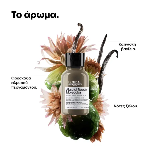 Serie Expert Absolut Repair Molecular Σαμπουάν Επανόρθωσης Χωρίς Θειικά Άλατα Για Ταλαιπωρημένα Μαλλιά 3