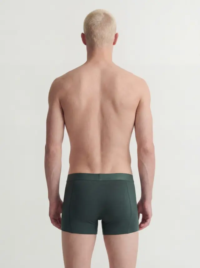 JACCOMO SOLID BAMBOO TRUNKS 3 PACK SN - Pine Grove 2