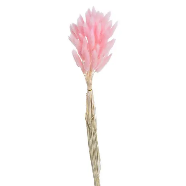 Μπουκέτο κλαδιά Lagurus, 65cm, ροζ