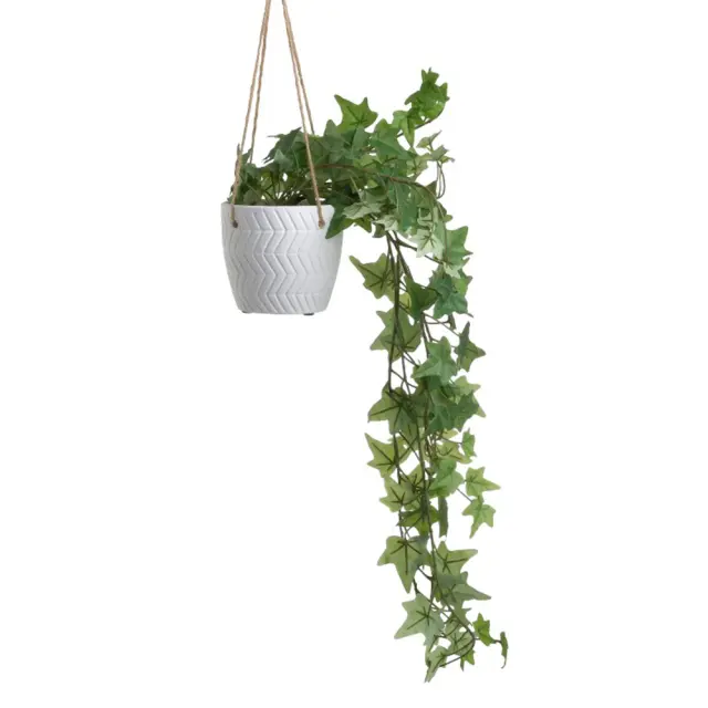 Φυτό κισσός σε γλαστράκι κρεμαστό Φ11x40/80cm Inart 3-85-475-0265